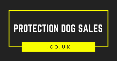 Protection Dog Sales Logo